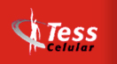 Voltar � p�ginal inicial do site Tess